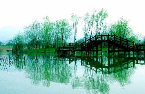 ���� һ�~ ������ �l(f��)�� Ԋ��(j��ng) ���L(f��ng) Ұ������