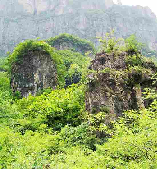 �P(gu��n)ɽ���|(zh��)���@