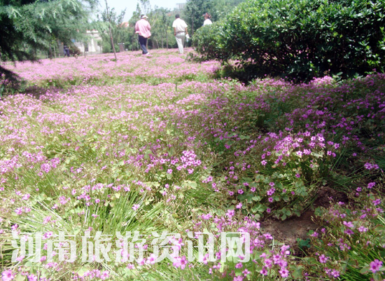 6��20�� �^�� С�˵� �S��С�˵��^�ٹ�(ji��) ����L���^(q��)