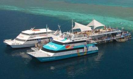 ȫ�� ʮ�� ˮ�ϾƵ� ������ ���� �Ĵ����� ɺ�������� 