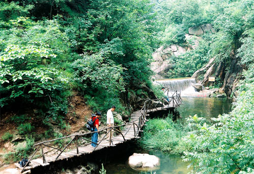 ���\(y��n)��