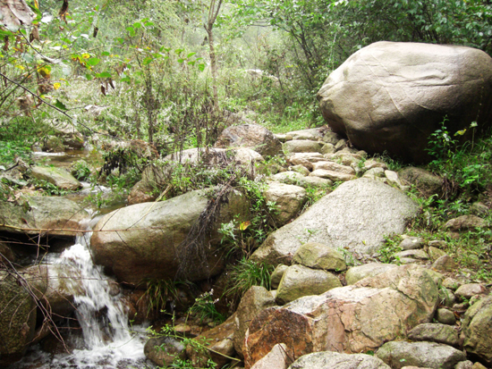 ���\(y��n)��