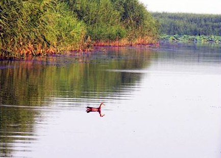 ������Ļ�Է