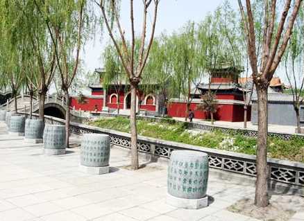 ������Ļ�Է