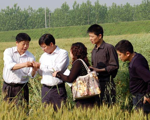 ��ɭ�h ʷ�� �����p ���L ���� ������