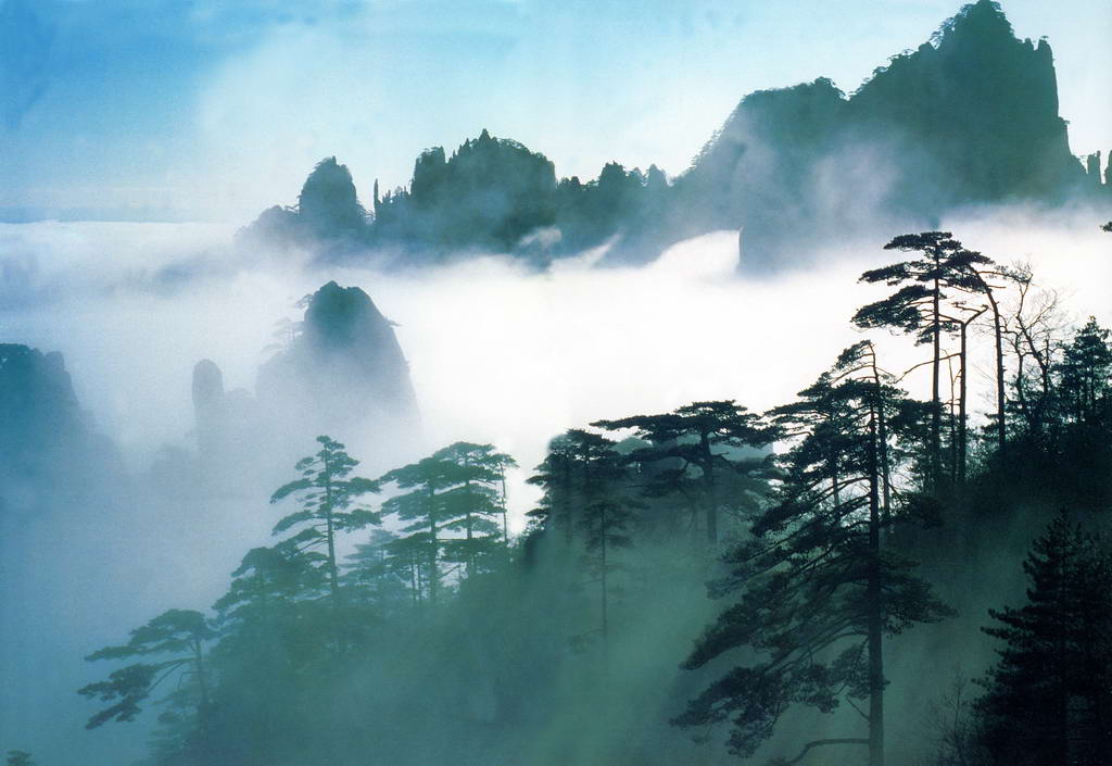 ����ɽ��Ȼ���o�^(q��) ֹͣ������