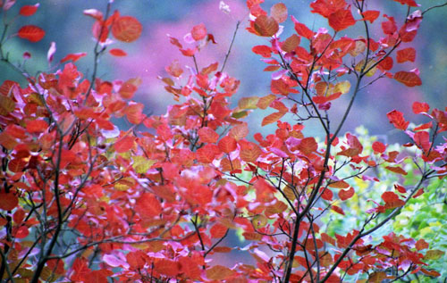 �质ͨ��{���^(q��)