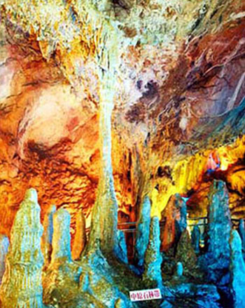 ���{�ɻ������^(q��)