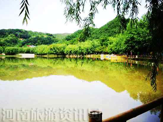 ԥ����{��