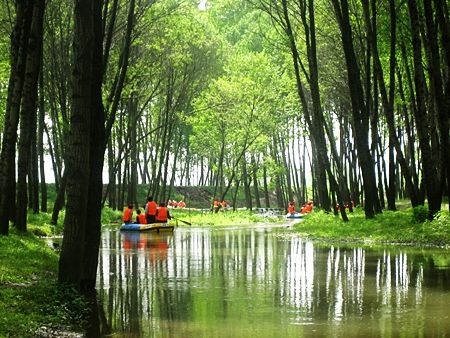 ����Ư������