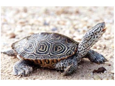 ����(gu��) ����ϙC(j��)��(ch��ng) ���� ���` ���C(j��)