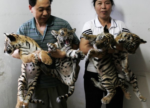 ��� ���ǹ��@ �A�ϻ�