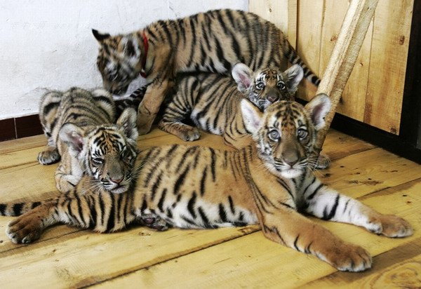 ���ǹ��@�A�ϻ�