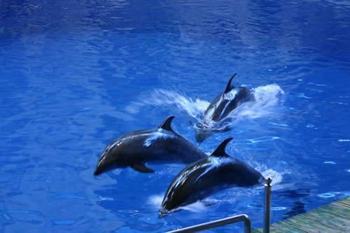 ���������^