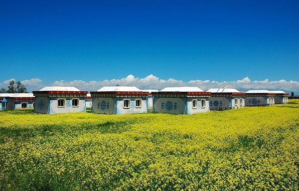 �����p�ຣ�����Ͳ˻����ι���