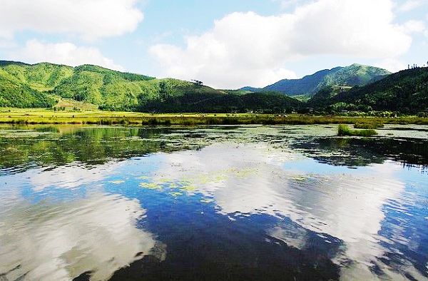 �O߅��һ�� �����v�_�����