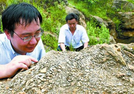 ��(n��i)�l(xi��ng)�l(f��)�F(xi��n)����o(j��)�r�ں�������ﻯʯ