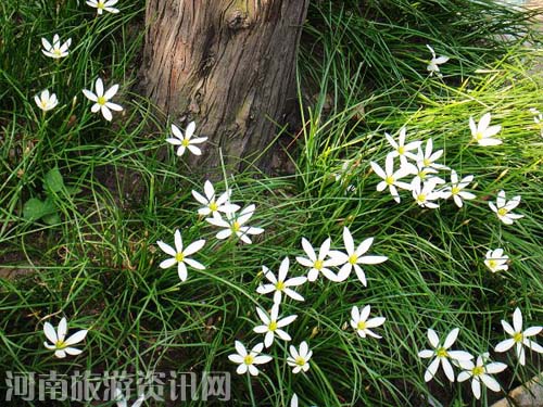 ��Ϧ���˹�(ji��) ���񹫈@