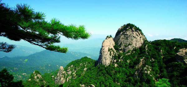 ľ���X�������D