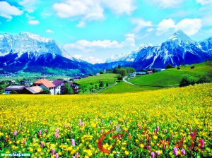 ���D �ϰ��� �Ϸ� ë����˹ �����m ���� ָ�� 