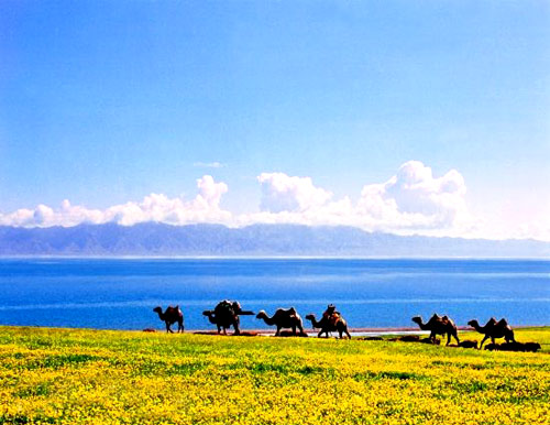 ِ��ľ�� �����U�U ��ˮ����