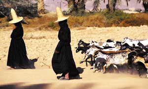 ɳ�� �Ƴ� �֮� �ٳ� ���� ����(w��)