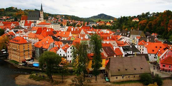 �ݿ� �r�⵹�� ��ֻ�� ������