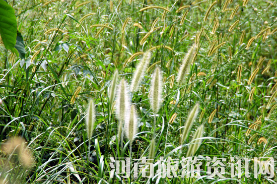 ���ɽ ��ĥ��