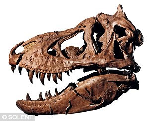 世界 最大 霸王龍 骨架 拍賣