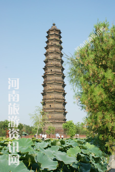 �ҵļ��l(xi��ng) ����