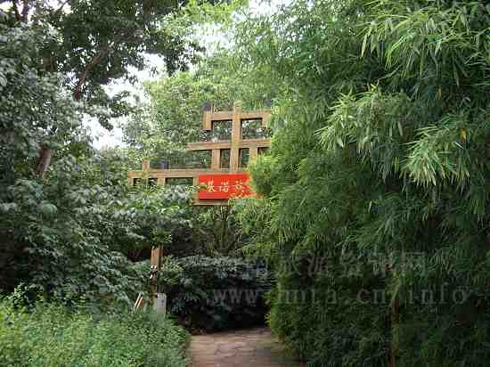 ���� ����� ���Z��