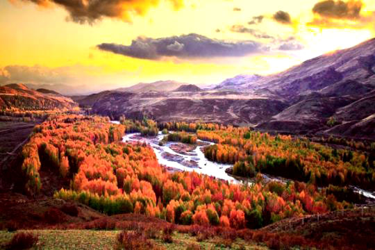 �׹��� ���� ��� ���� ����