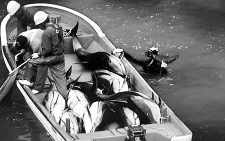 �ձ� �����๝(ji��) �۞� һƬ Ѫ�t