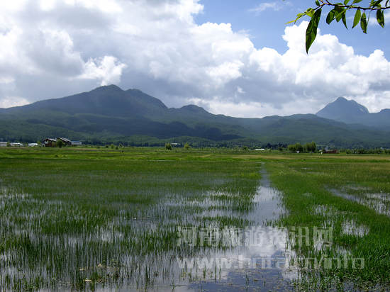 ���к�����