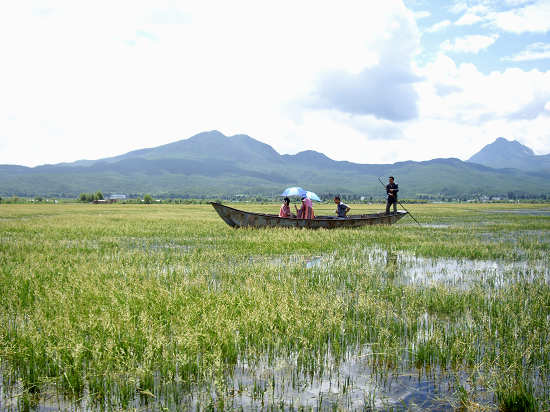 ���к����^(q��)