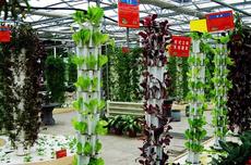 �S���r(n��ng)�f ���@