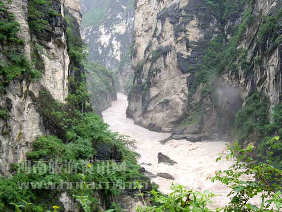 �����{ �{��