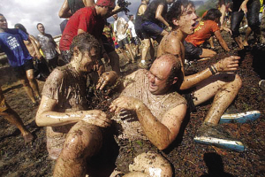 ������ ���� ���(zh��n) 