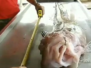 ���� �l(f��)�F(xi��n) �o�[ �ۼt ���~ 