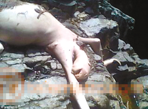 �����R ���� �@�F(xi��n) �֫F ���� �y�� ����  