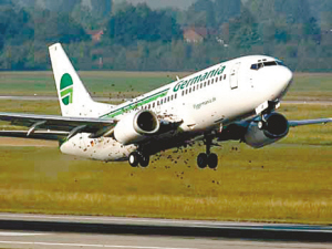 德國 客機 群鳥 撞擊 迫降