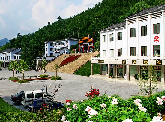 �u�ڶ����T