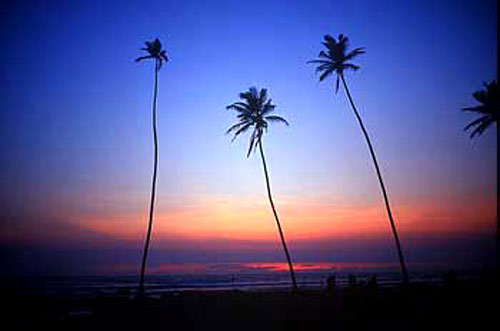 ˹���m�� ���� �_ӡ ���� �y��