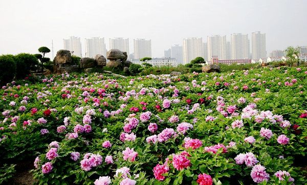 ��ԭ�����η���ȫ���� ֵ��һ��