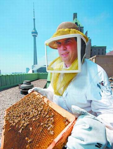 �Ƶ� Ȥζ ���N ���� ס�� �����c