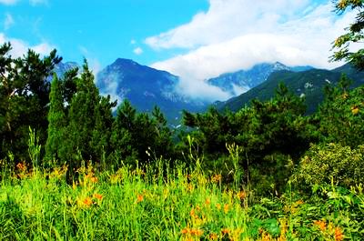 �S��ɽ��(gu��)��ɭ�ֹ��@