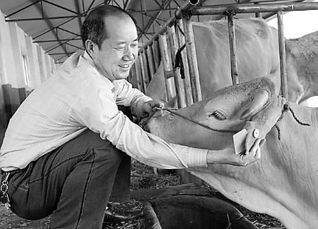 ����ţ֮�� ���d��