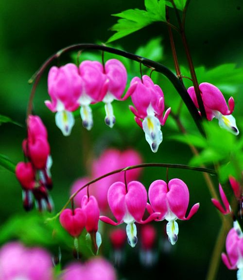 2010�����ĵ��