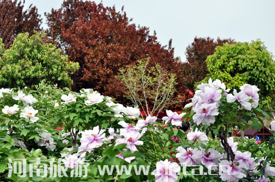 ���(y��ng) ĵ�� ������ �Ї�(gu��)���� ����