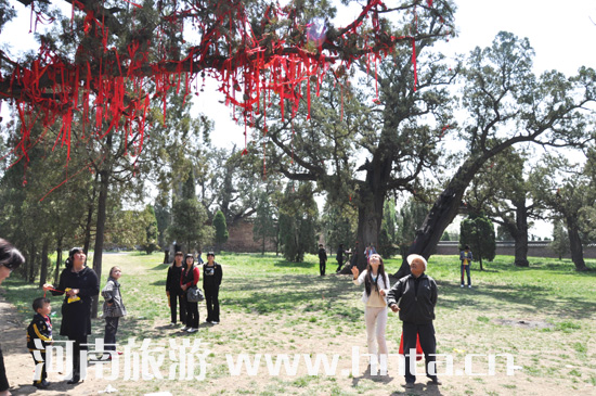 ��ɽ �����R��(hu��)